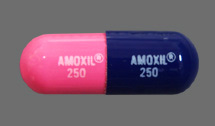 recommended dosage for amoxicillin